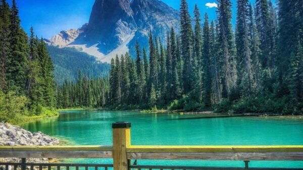 Banff Gondola, Lake Louise, Emerald Lake & 3 Scenic Lakes - Image 6